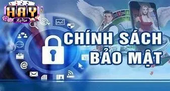 Mục tiêu chính sách bảo mật haywin