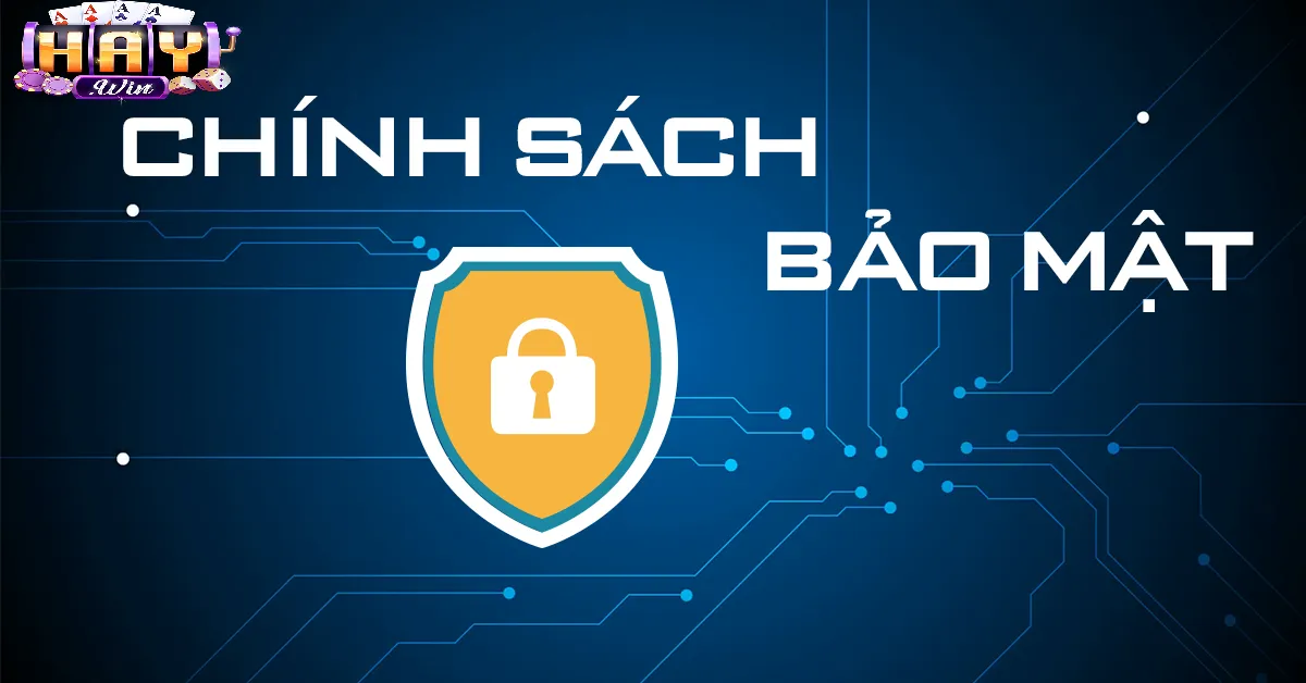 Lưu trữ và quản lý dữ liệu