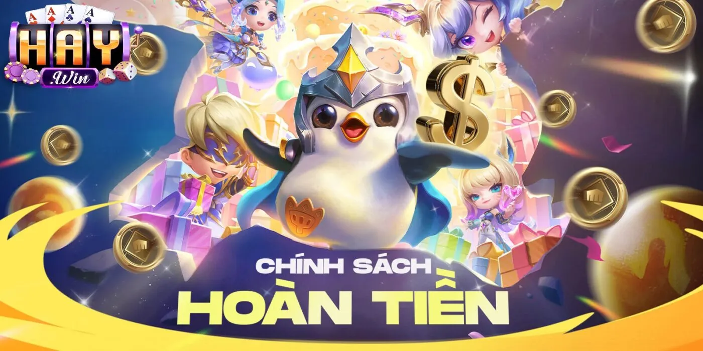 Tổng quan về Chính sách hoàn trả Haywin