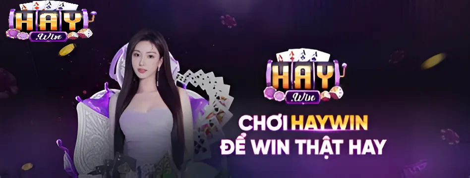 Thông tin về tác giả Haywin